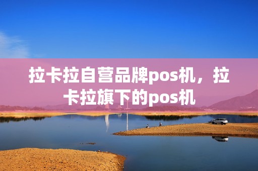 拉卡拉自营品牌pos机，拉卡拉旗下的pos机  第1张