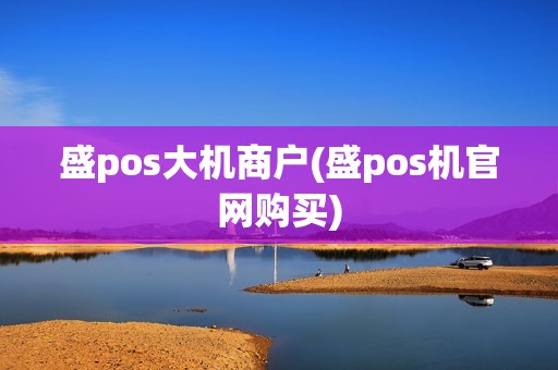 盛pos大机商户(盛pos机官网购买)