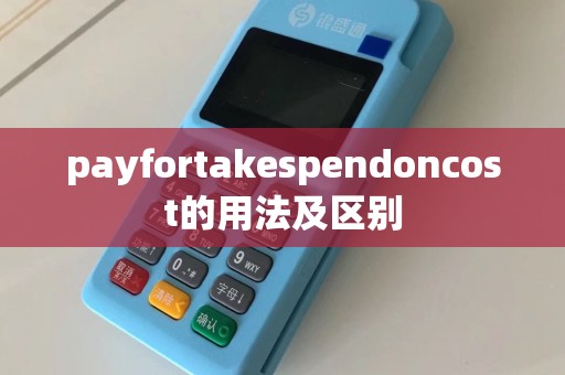 payfortakespendoncost的用法及区别  第1张