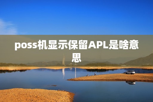 poss机显示保留APL是啥意思  第1张
