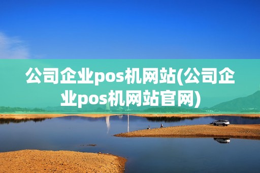 公司企业pos机网站(公司企业pos机网站官网)