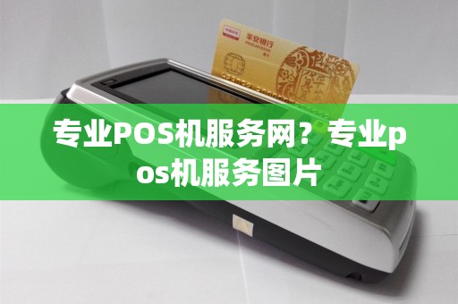 专业POS机服务网？专业pos机服务图片