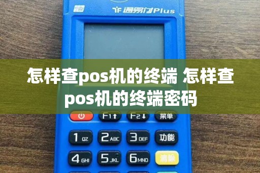 怎样查pos机的终端 怎样查pos机的终端密码  第1张