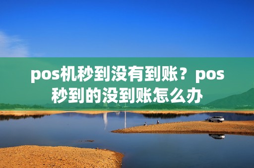 pos机秒到没有到账？pos秒到的没到账怎么办