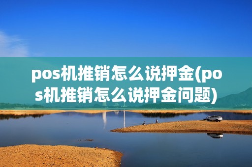 pos机推销怎么说押金(pos机推销怎么说押金问题)