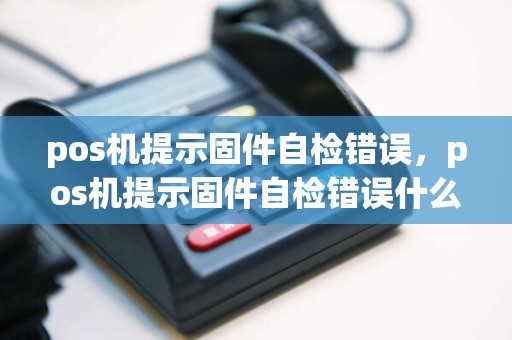 pos机提示固件自检错误，pos机提示固件自检错误什么意思