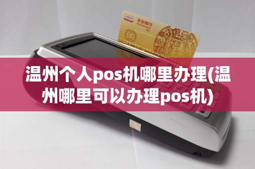 温州个人pos机哪里办理(温州哪里可以办理pos机)  第1张
