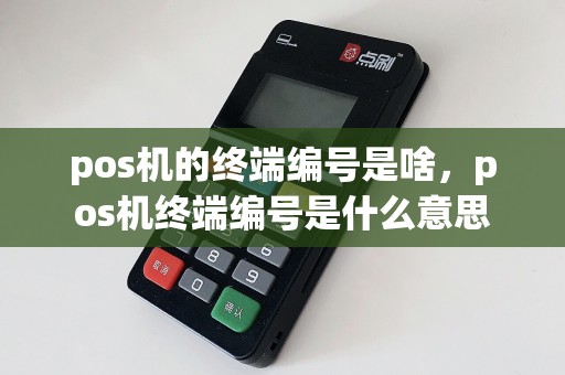 pos机的终端编号是啥，pos机终端编号是什么意思