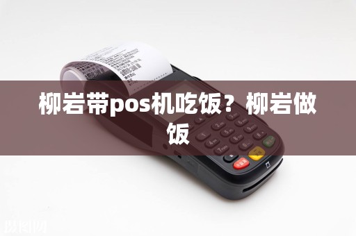 柳岩带pos机吃饭？柳岩做饭