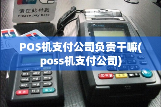 POS机支付公司负责干嘛(poss机支付公司)