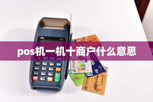 pos机一机十商户什么意思