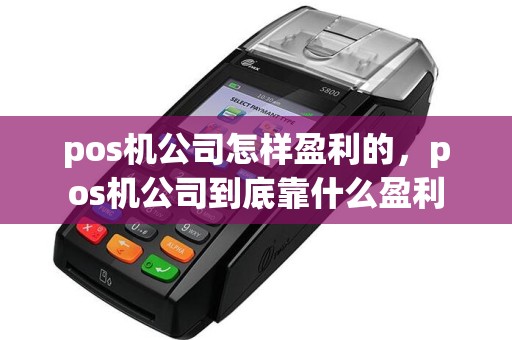 pos机公司怎样盈利的，pos机公司到底靠什么盈利