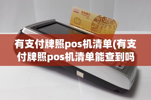有支付牌照pos机清单(有支付牌照pos机清单能查到吗)