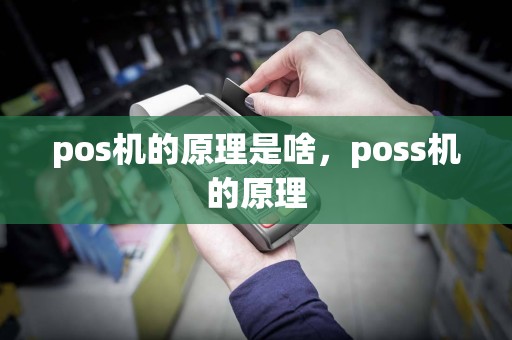 pos机的原理是啥，poss机的原理  第1张
