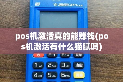 pos机激活真的能赚钱(pos机激活有什么猫腻吗)
