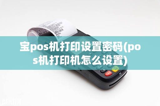 宝pos机打印设置密码(pos机打印机怎么设置)