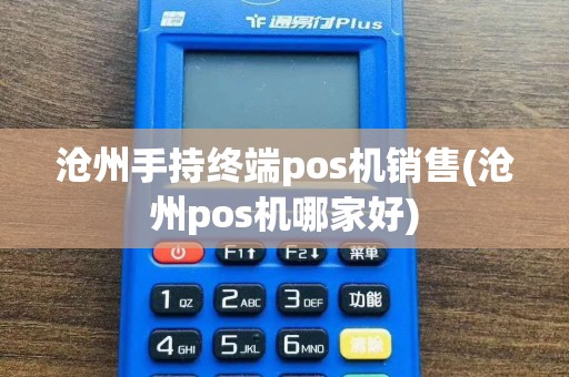 沧州手持终端pos机销售(沧州pos机哪家好)