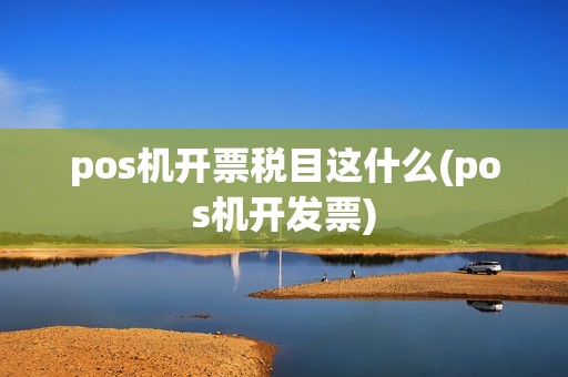 pos机开票税目这什么(pos机开发票)