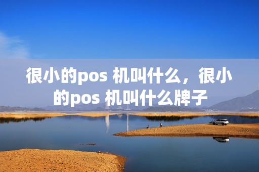 很小的pos 机叫什么，很小的pos 机叫什么牌子