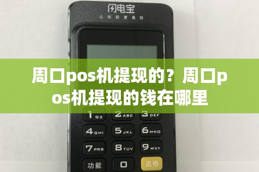周口pos机提现的？周口pos机提现的钱在哪里  第1张