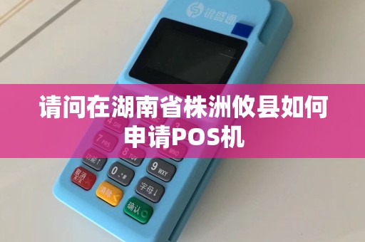 请问在湖南省株洲攸县如何申请POS机