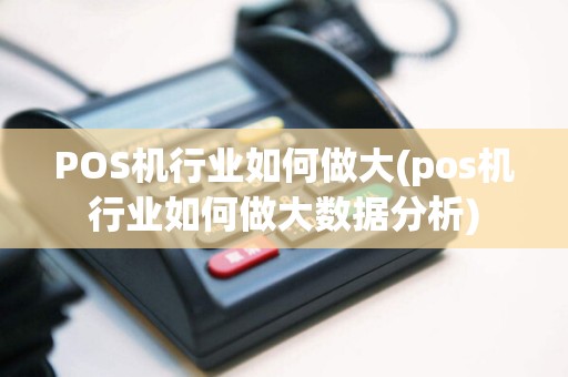 POS机行业如何做大(pos机行业如何做大数据分析)