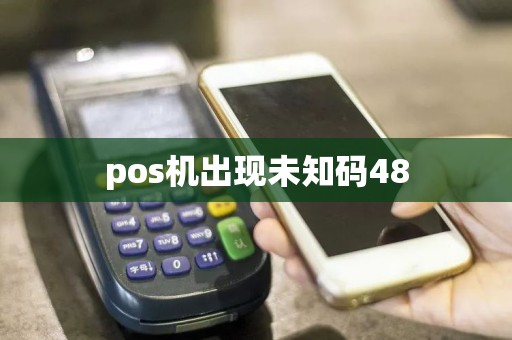 pos机出现未知码48  第1张
