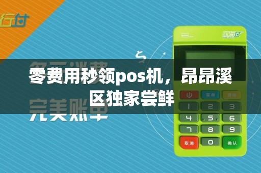 零费用秒领pos机，昂昂溪区独家尝鲜