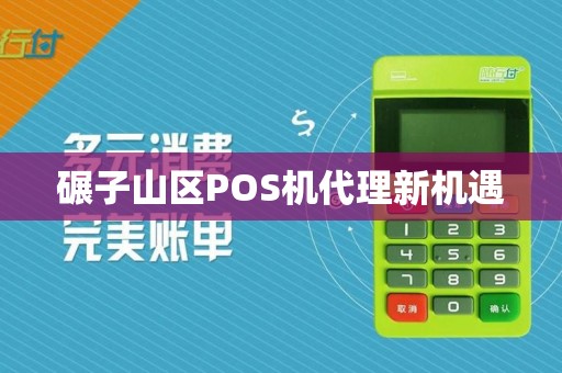 碾子山区POS机代理新机遇
