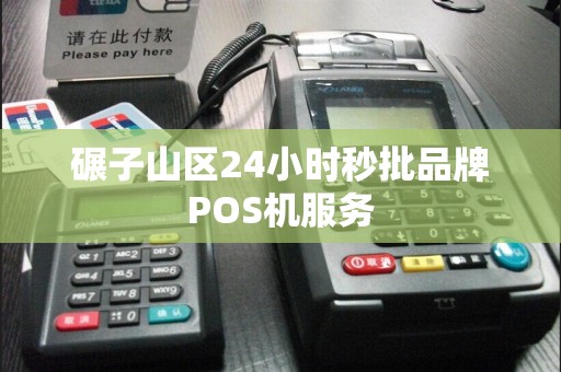 碾子山区24小时秒批品牌POS机服务
