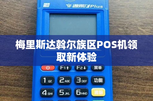 梅里斯达斡尔族区POS机领取新体验