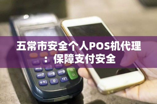 五常市安全个人POS机代理：保障支付安全  第1张