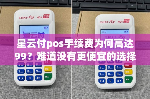 星云付pos手续费为何高达99？难道没有更便宜的选择吗？