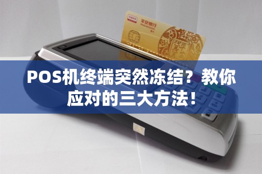 POS机终端突然冻结？教你应对的三大方法！  第1张