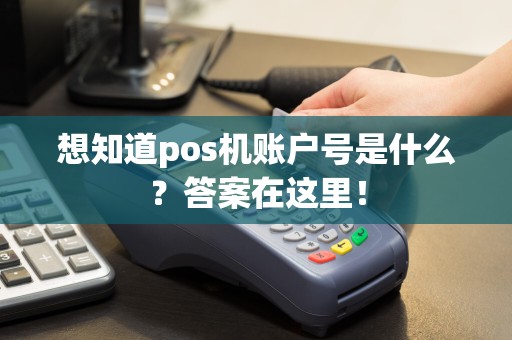 想知道pos机账户号是什么？答案在这里！  第1张