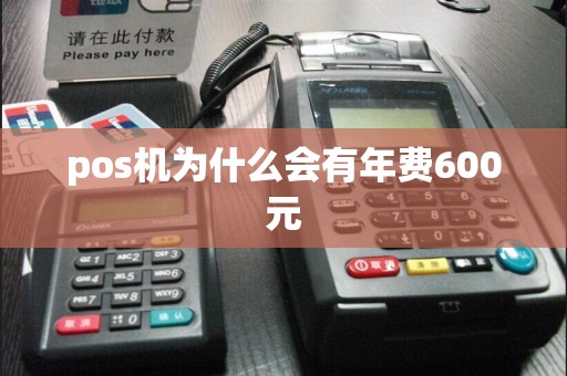 pos机为什么会有年费600元