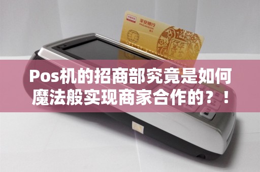 Pos机的招商部究竟是如何魔法般实现商家合作的？！