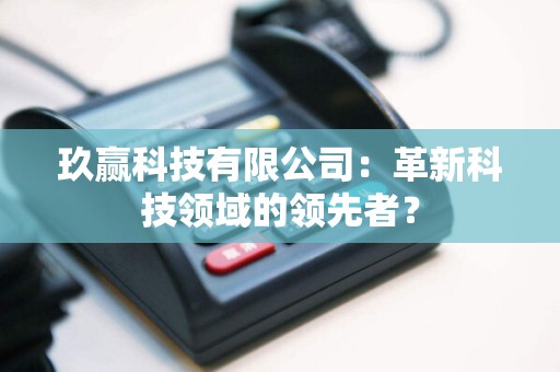 玖赢科技有限公司：革新科技领域的领先者？