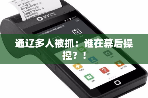通辽多人被抓：谁在幕后操控？！  第1张