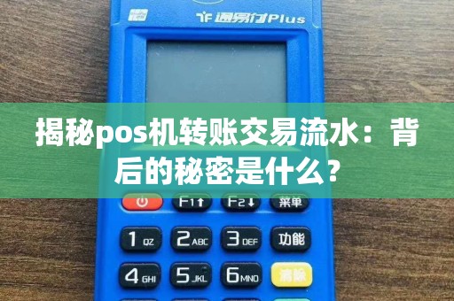 揭秘pos机转账交易流水：背后的秘密是什么？