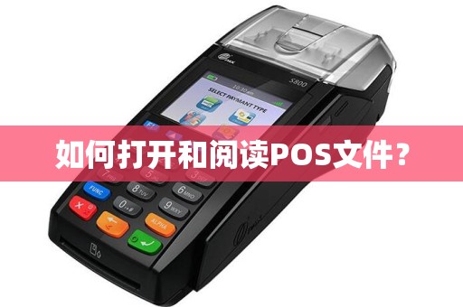 如何打开和阅读POS文件？