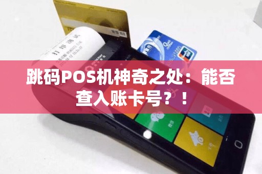 跳码POS机神奇之处：能否查入账卡号？！