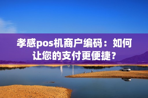 孝感pos机商户编码：如何让您的支付更便捷？