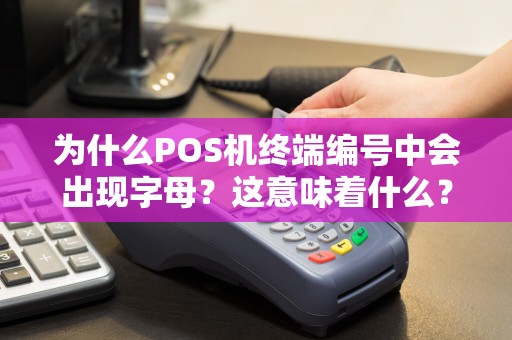 为什么POS机终端编号中会出现字母？这意味着什么？