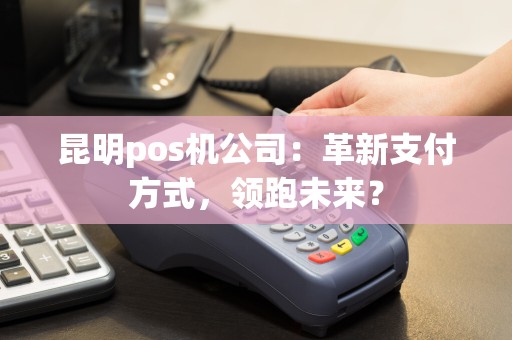昆明pos机公司：革新支付方式，领跑未来？