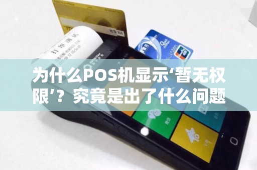 为什么POS机显示‘暂无权限’？究竟是出了什么问题？
