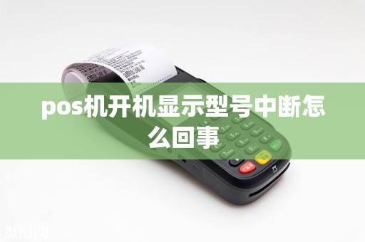 pos机开机显示型号中断怎么回事