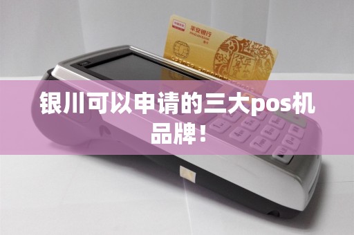 银川可以申请的三大pos机品牌！