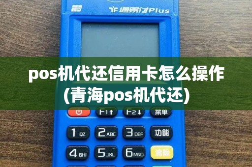 pos机代还信用卡怎么操作(青海pos机代还)