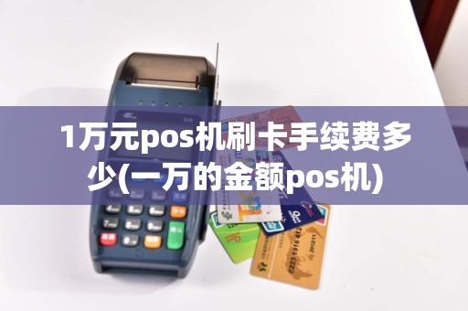 1万元pos机刷卡手续费多少(一万的金额pos机)